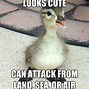 Image result for Lucky Duck Meme