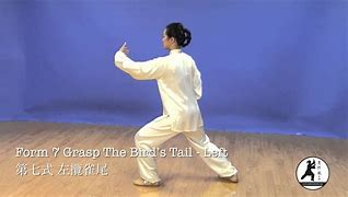 Image result for Dialogue of Tai Chi Chuan Wu Style