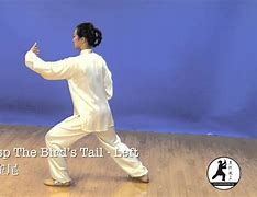 Image result for 24-Form Tai Chi
