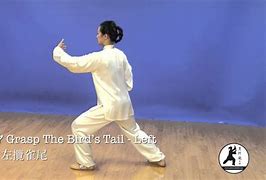 Image result for Tai Chi 24