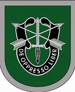 Image result for 1st Special Forces Command Flash