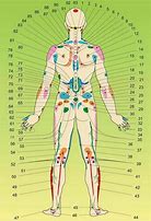Image result for Acupuncture Spots