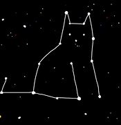 Image result for Galaxy Cat deviantART