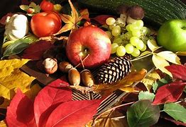 Image result for Autumn Fruits