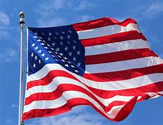 Image result for Picture of Us Flag