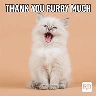 Image result for Thank You for Referral Meme