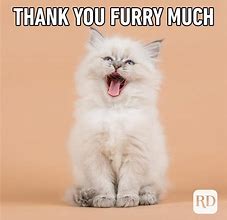 Image result for Thank You I Know Meme