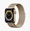 Image result for Nike Compact Apple Watch