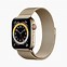 Image result for Apple Watch Series 3 Gold Strap