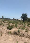 Image result for 200 Meters Land