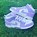 Image result for Purple Concord J1