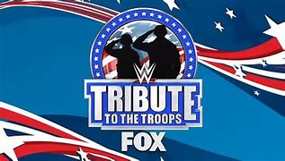 Image result for WWE Tribute to the Troops TV