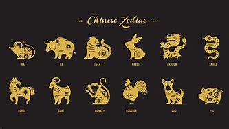 Image result for 12 Animals of the Zodiac