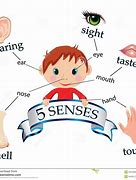 Image result for Senses Body Parts