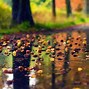 Image result for Rainy Day Scenery