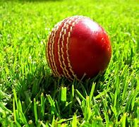 Image result for Cricket Cool