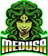 Image result for Medusa Logo