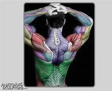 Image result for iPhone Anatomy Art Is Très Fantastiquee