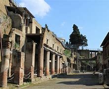 Image result for Herculaneum Bodies