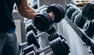 Image result for Best Fitness Equipment