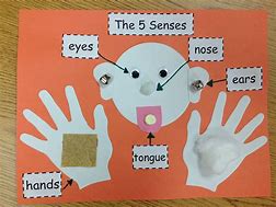 Image result for Art Activities 5 Senses