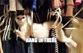 Image result for Geting the Hang of It Meme