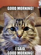 Image result for Tough Morning Cat Meme