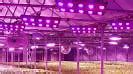 Image result for LED Grow Light Market