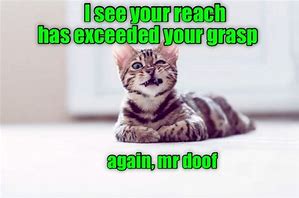 Image result for Lolcats Fail