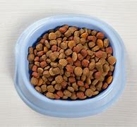 Image result for iams cat food