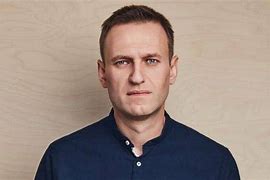 Image result for Navalny Vector