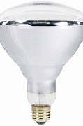Image result for 250W Heat Lamps