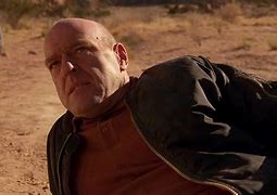 Image result for Tzu-Yu and Hank Breaking Bad