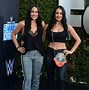 Image result for The Bella Twins Kids