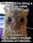 Image result for February Pet Meme