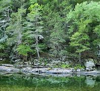 Image result for Lycoming Creek