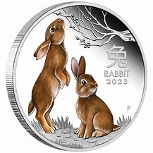 Image result for Year of the Rabbit Coin