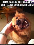 Image result for Hand Petting Dog Meme
