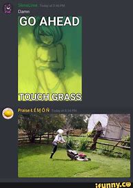 Image result for Touch Grass Anime Meme
