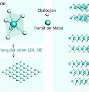 Image result for 1T 2H Structure