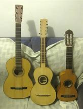 Image result for guitarro