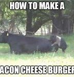 Image result for Bacon Cheeseburger Meme