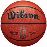 Image result for Wilson Basketball with NBA Teams