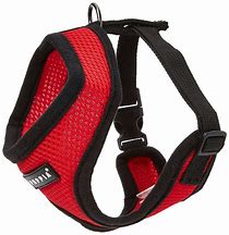 Image result for Dog Harness and Leash