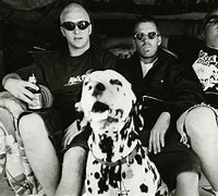 Image result for Sublime Band
