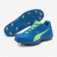 Image result for Cricket Sport Shoes