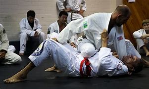 Image result for Jiu Jitsu Fighting Style