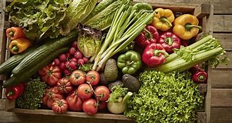 Image result for Local Food Supply