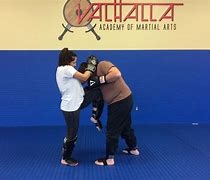 Image result for Best Martial Art for Striking