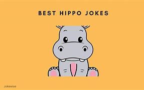 Image result for Funny Hippo Jokes